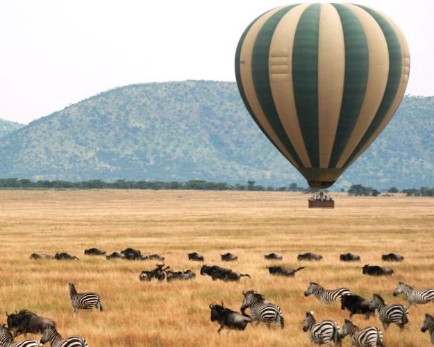 How big is Serengeti national park?