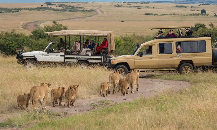 Top Things to do on a Safari in Tanzania
