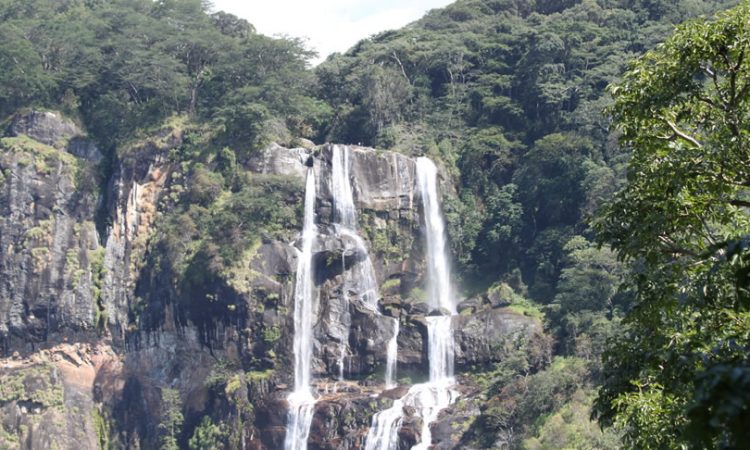 Udzungwa Mountains National Park 