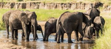 3 Days Safari to Tarangire, Ngorongoro and Lake Manyara