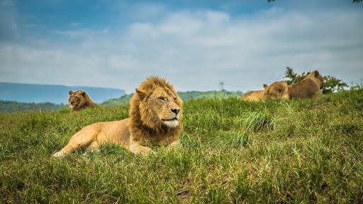 Facts about Serengeti National Park