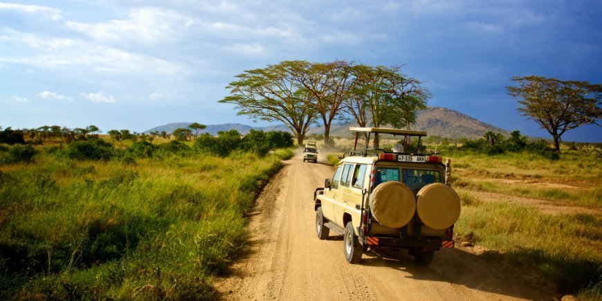 Game Drive Safaris in Tanzania