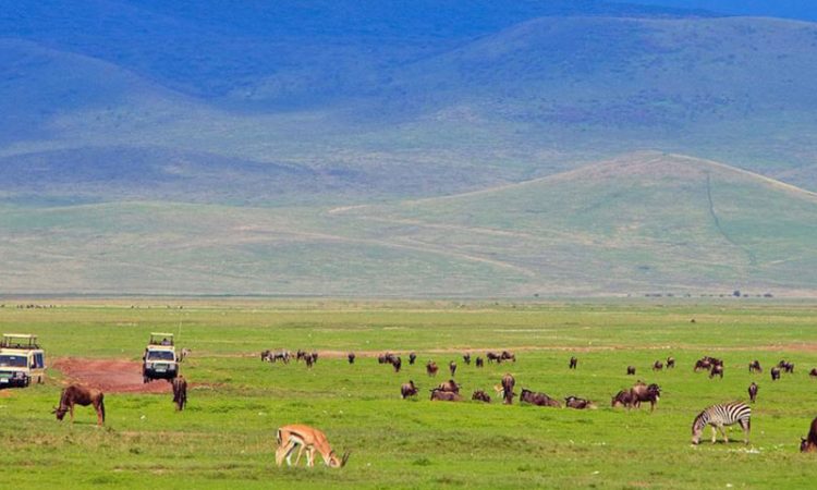 3 Days Safari to Ngorongoro Crater and Lake Manyara