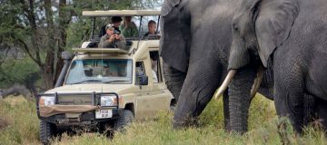 5 Days Tanzania Luxury Safari 