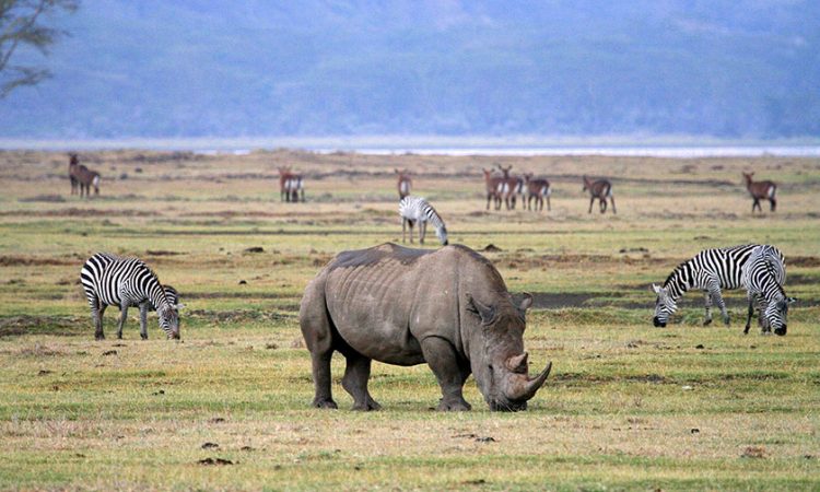 Activities in Ngorongoro Conservation Area