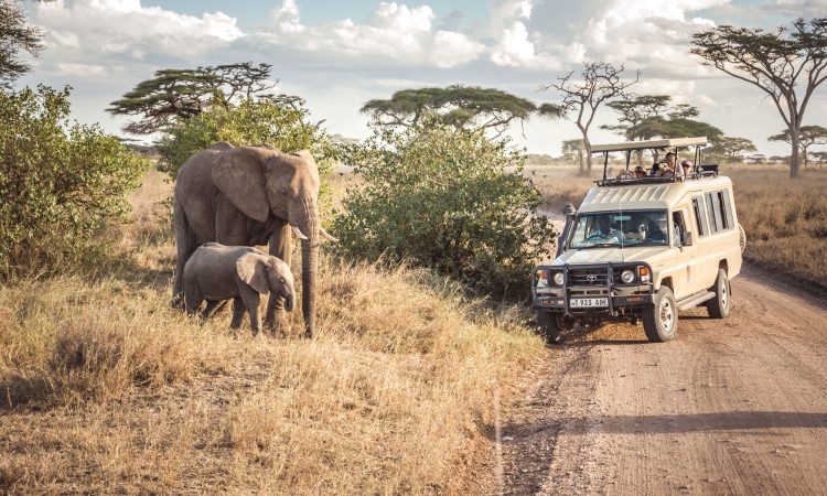 4 Days Serengeti & Ngorongoro Wildlife Safari