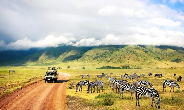 7 Days Kenya and Tanzania Wildlife Safari