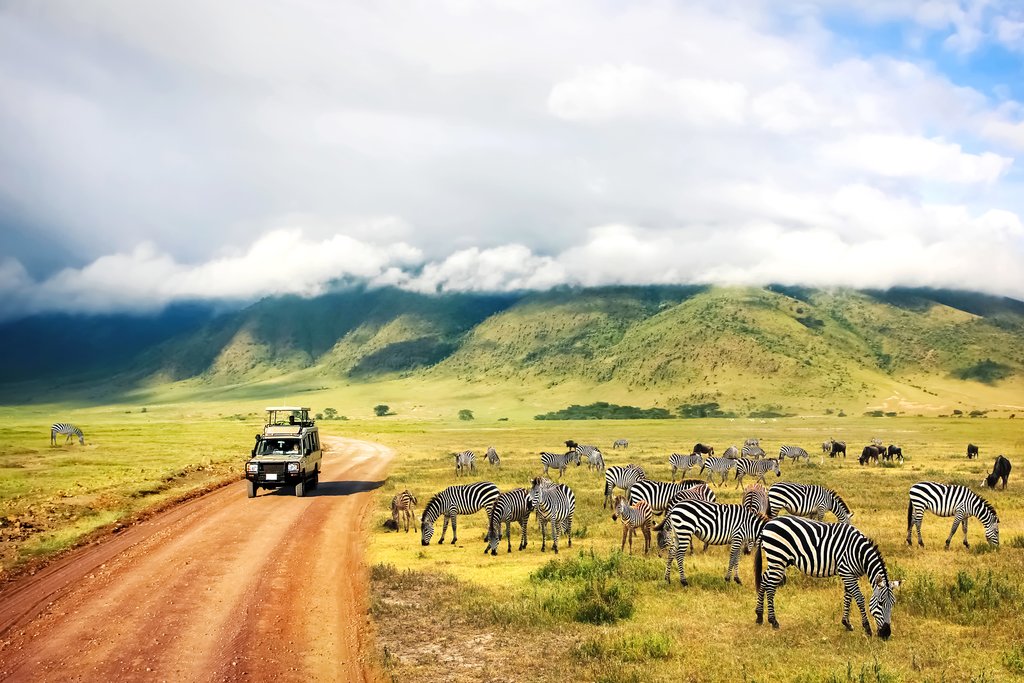 Travel from Tanzania to Kenya