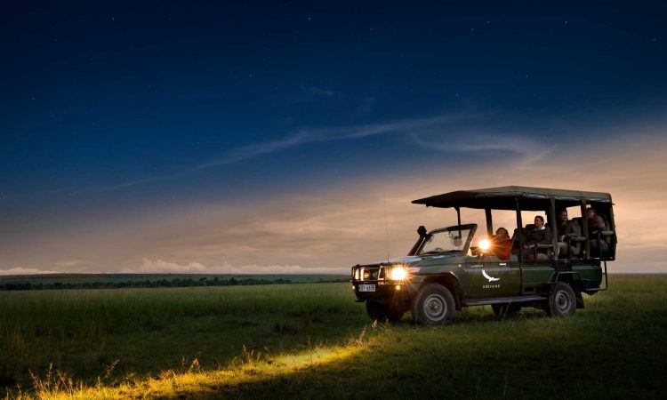 Night Game Drive in Lake Manyara National Park