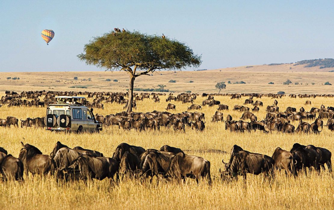 masai mara safari deutschsprachig