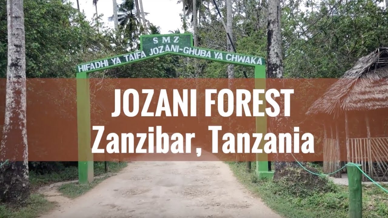 Zanzibar tours