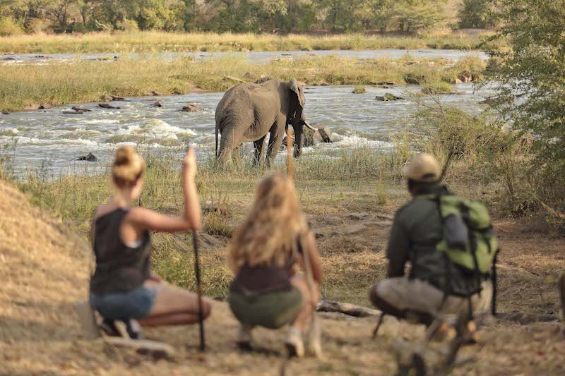 The Guided walking Safari in Tanzania