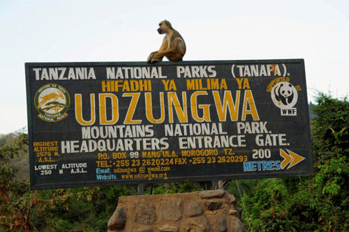 The Udzungwa National Park
