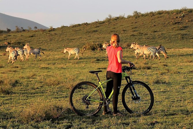 Mountain Biking, Hiking, Night Game Drives All in One Safari