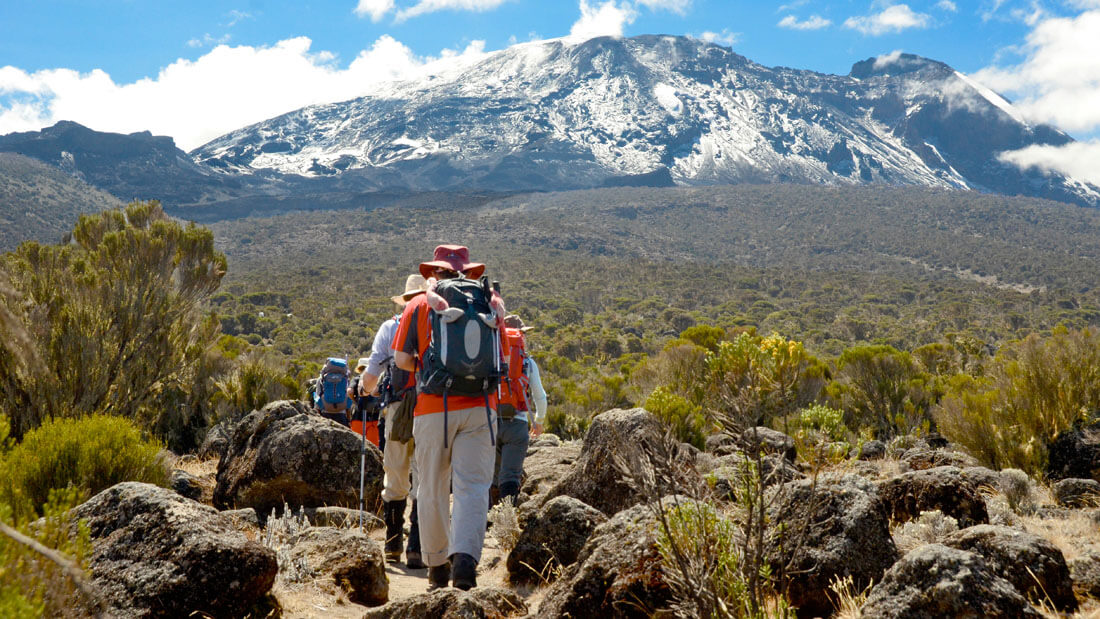 5 days Kilimanjaro hike, Tarangire and Serengeti safari