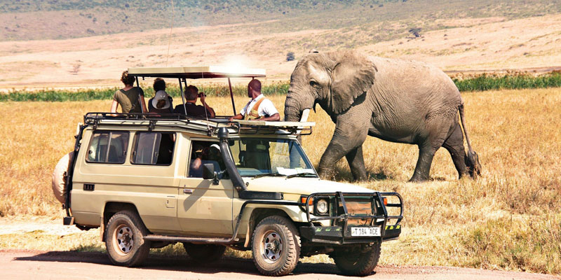 How to Prepare for Peak Season Safari in Tanzania 