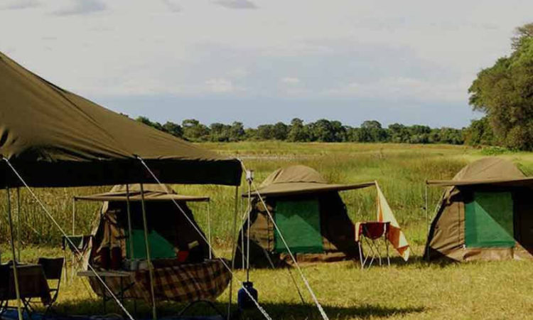 Camping in Tanzania 