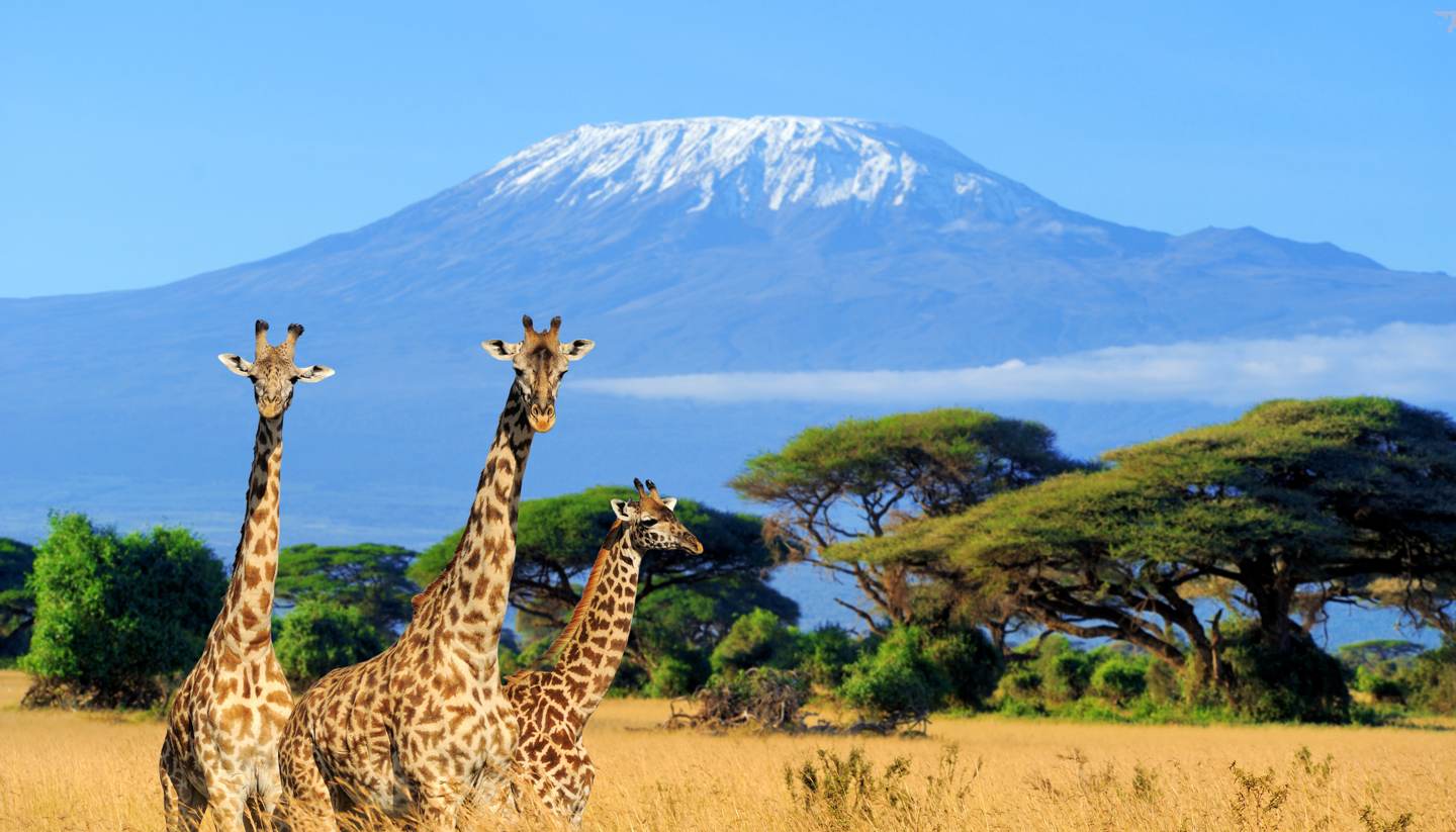 5 Amboseli National Park Facts