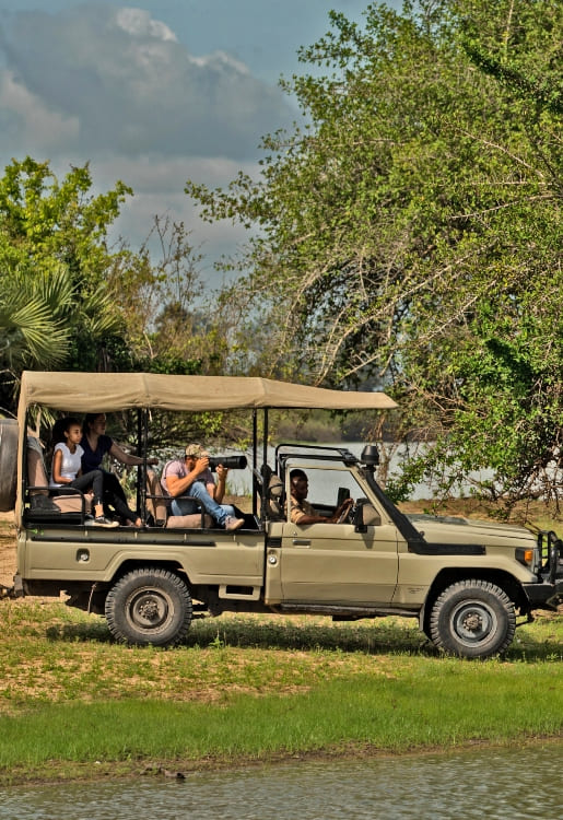 Tanzania Safari in February