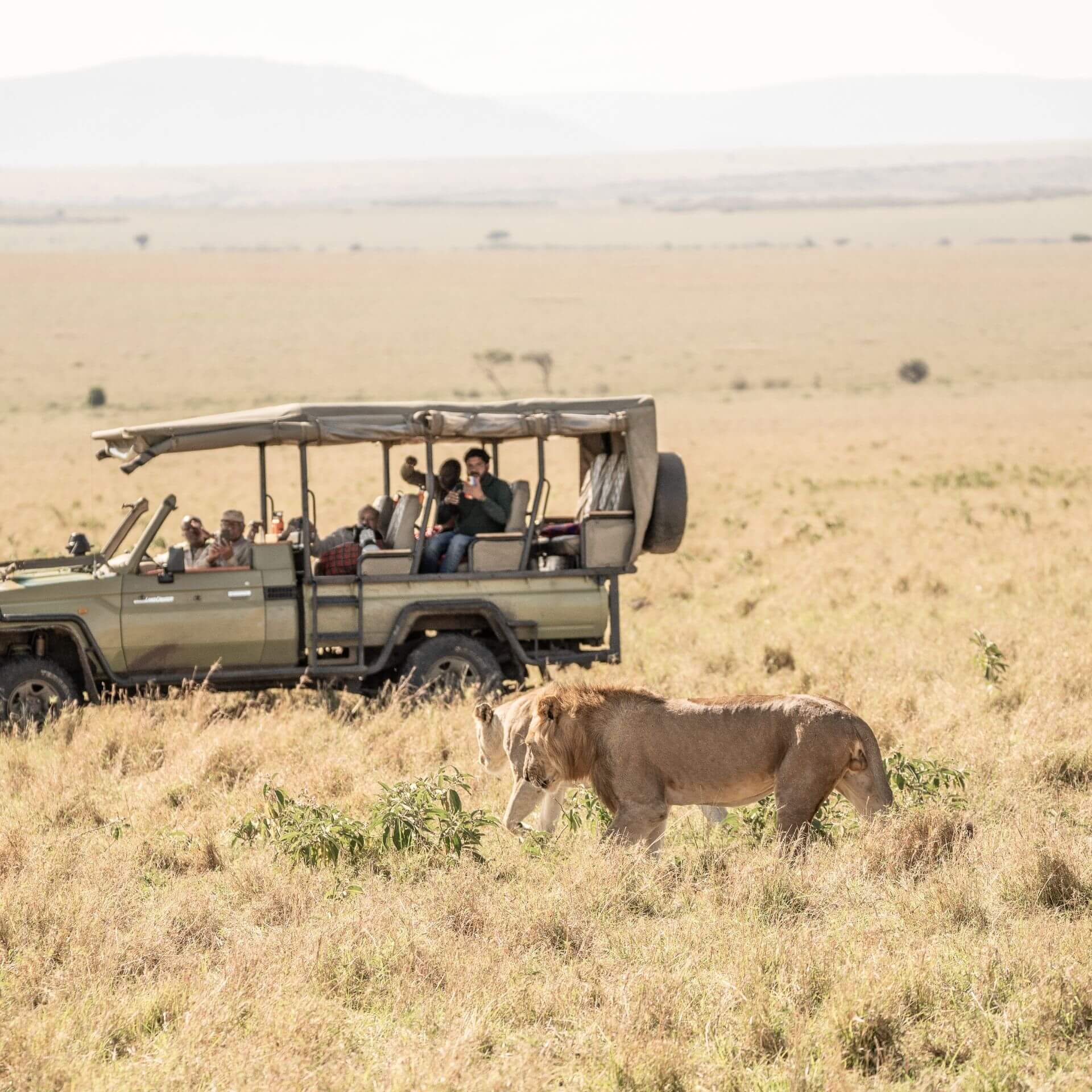 13 Days Kenya Tanzania Safari