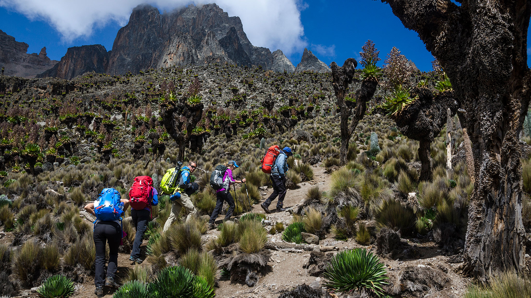 Explore Mount Kenya 