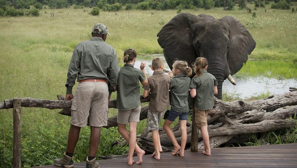 Tanzania Safari with Kids 