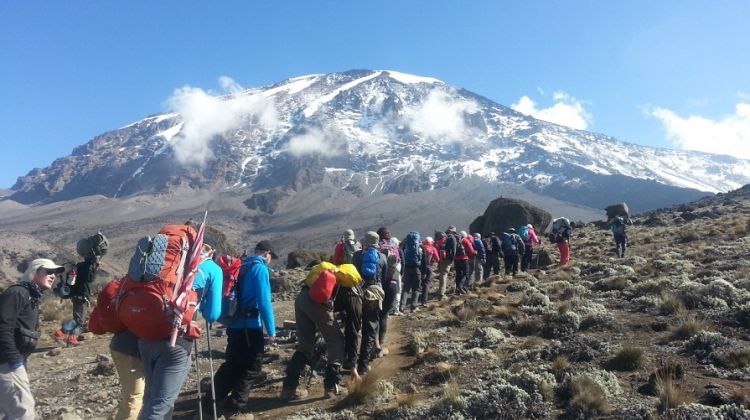 A Comprehensive Guide To When To Climb Mount Kilimanjaro
