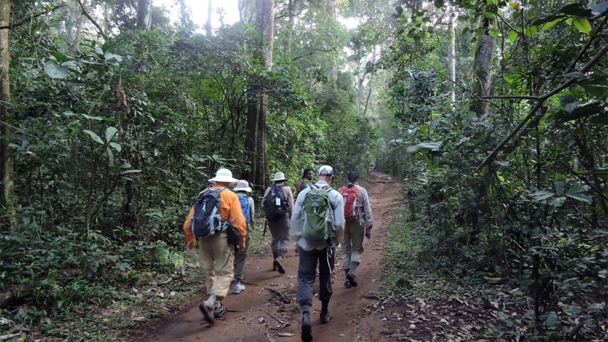 Activities in Kibale National Park