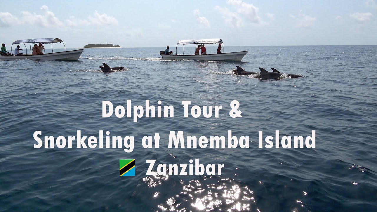 The Best Things To Do On Mnemba Island In 2024/2025