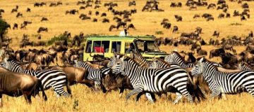 14 Days Selous and Northern Tanzania Safari